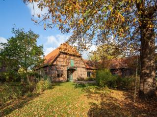 Historic Farmhouse in Hohnebostel with Garden near Lake - Langlingen - 3