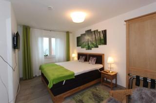 Pretty apartment with balcony - Feldberg - 1