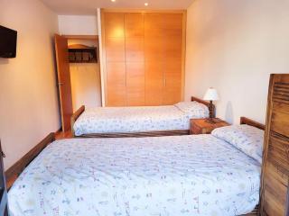 Cómodo y Soleado apartamento en Panticosa - 1