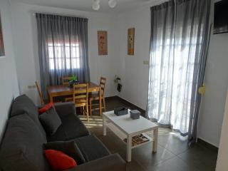 Casasjerezanas Vistaflor2 - Jerez de la Frontera - 6