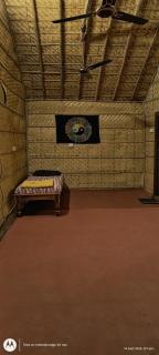 Banana Tree Home Stay - Hampi - 8