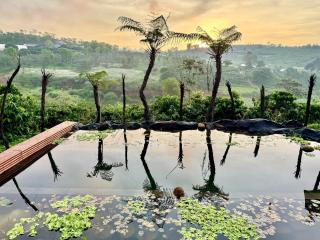 Mầm Farmstay And Camping - - 6