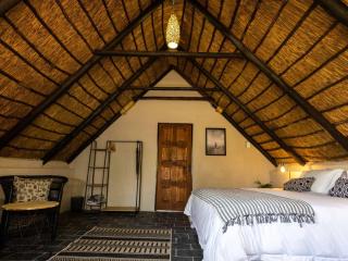 Amy's Camp at the Kevin Richardson Foundation - Dinokeng Game Reserve - 9