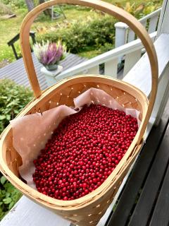 Blueberry Villa at Saimaa Lakeside - 5