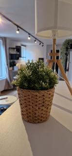 Charleroi Cozy Home - Charleroi - 2
