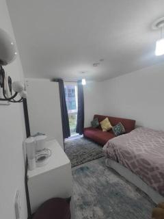 Canary Wharf Homestay - Londra - 7