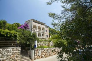 Apartments Ante - Smokvica - 0