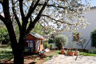 Apartment Neva - Novigrad - 7