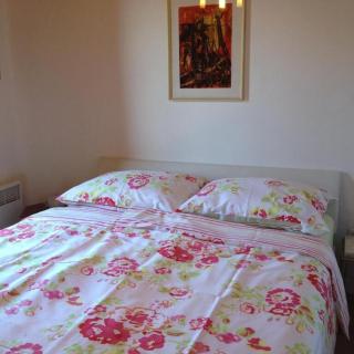 Apartment Iva - Molunat - 4