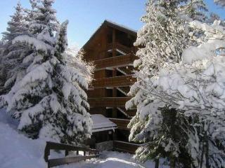 Superbe appartement skis aux pieds avec cheminée et parking à Méribel - FR-1-180-629 - Les Allues - 5