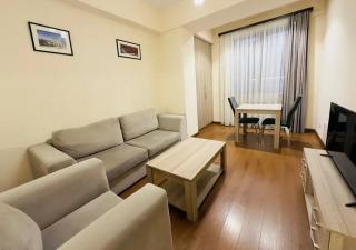 2 room apartment inthe center 93 aprt - Erevan - 9