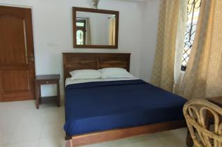 2bhk Apartment - Siolim, Goa - Siolim - 9