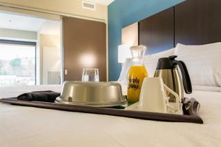 Holiday Inn Hotel & Suites Chattanooga by IHG - Chattanooga - 8