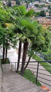 Villa la Gabbianella a Moltrasio, Como - Moltrasio - 1