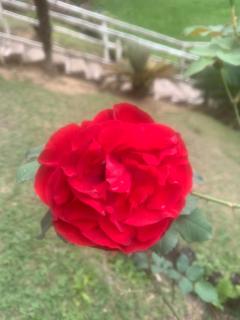 Pousada Casa Fazenda do Rio - 6