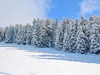 Studio cosy avec balcon et animaux admis à Chamrousse - FR-1-340-280 - Chamrousse - 3