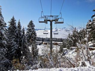 Studio cosy avec balcon et animaux admis à Chamrousse - FR-1-340-280 - Chamrousse - 2