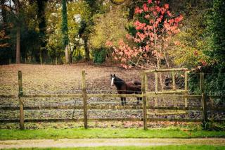 Broombank - Burley - 8