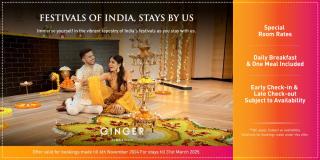 Ginger Vapi - Vapi - 8