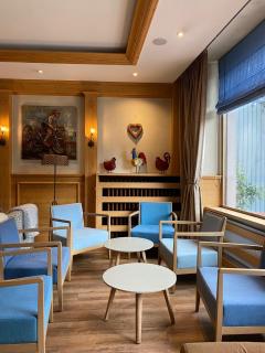 Hôtel et appart'hôtel de l'Hermitage - Thônes - 3