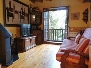 Apartamento de montaña con chimenea Aigüestortes 1 - Pla de l'Ermita - 2