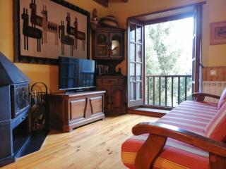 Apartamento de montaña con chimenea Aigüestortes 1 - Pla de l'Ermita - 1