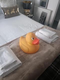 Harbour Inn - Anstruther - 9