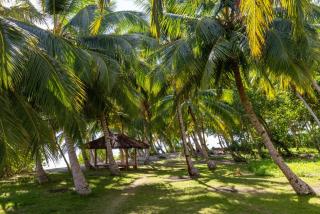 Aloita Resort Mentawai - Tua Pejat - 8