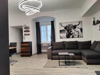 Villa Krems Wachau Apartments an der historischen Stadtmauer - 8