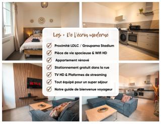 Écrin Moderne - Décines-Charpieu - 8