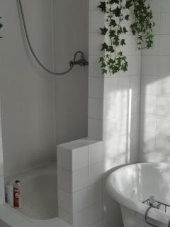 Maison de campagne à Paris - Paris - 5