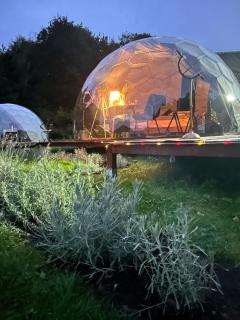 Eco Iglu The Secret of Comfort 5 Stars - Milmersdorf - 5