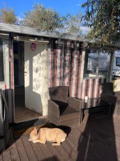 Glamping auf Sylt - 3