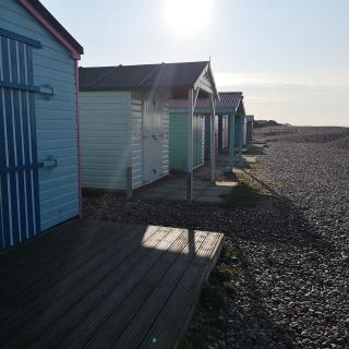 Warblers - West Wittering - Chichester - 9