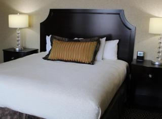 Hotel Julien Dubuque - Dubuque - 3