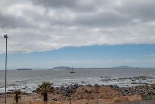 Seaside Studio in Mouille Point - 6
