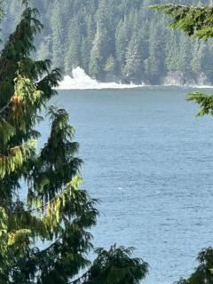 Eagle Way - Port Renfrew - 9