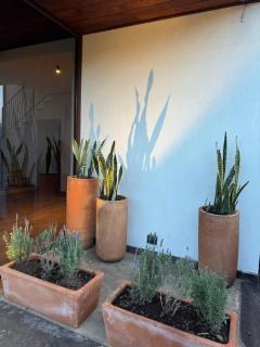 Casa Xanu - Tapalpa - 3