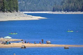 Tranquil Pines Estate - Shaver Lake - 2