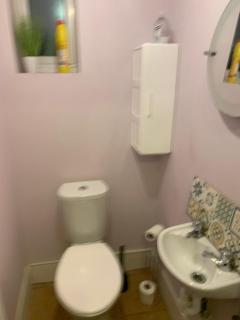 7 Bedroom Victorian House Zone 2 - London - 8