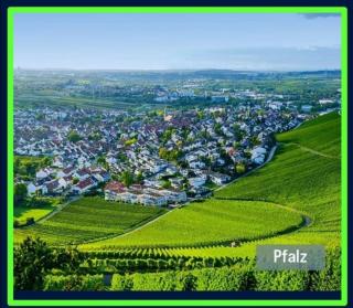 Ferienwohnung Bergblick - Neustadt an der Weinstraße - 9