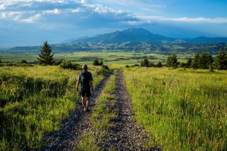 Field & Stream Lodge Bozeman - Bozeman - 5