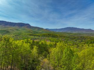 Bearded Bear Lodge - Gatlinburg - 2