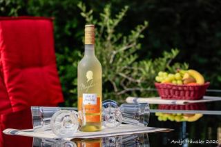 Ferienhaus-Hus-Stine-an-der-Mueritz - 8