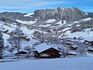 Birkheim - Alpbach - 0