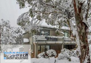 Wintergreen 3 - Thredbo - Thredbo - 9