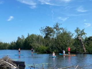 Blauwborst 24-24 - Breukelen - 2