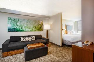 SpringHill Suites by Marriott Miami Airport South Blue Lagoon Area - Miami - 6