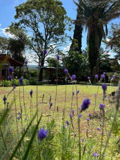 La casita de CristAl - 3