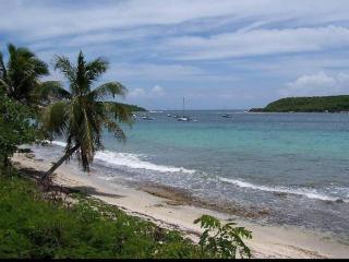 Beachside famous resort, pool, night life,full AC - Playa de Guayanes - 6